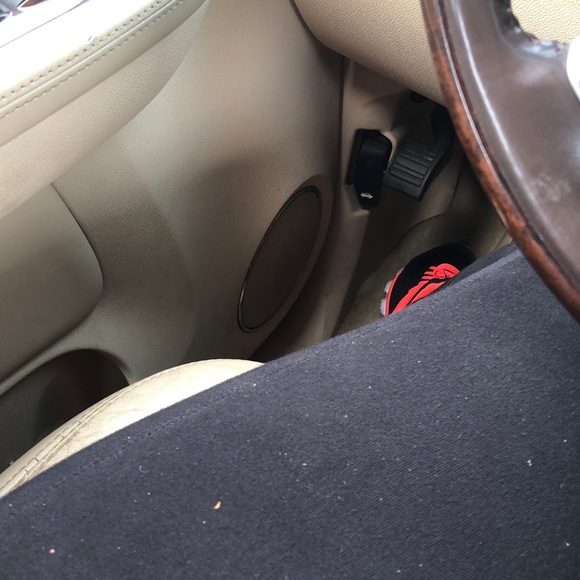 Meet your Posher, Blanca - Picture 1 of 1